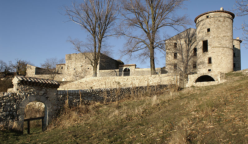 Château de Craux : L'ensemble du château et des dépendances vu de l'ouest.