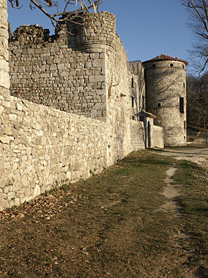 Château de Craux : La longue enfilade de constructions vue du côtéouest
