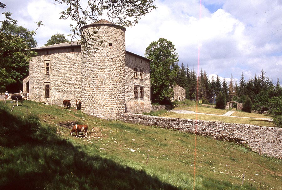 Le château des Baumes